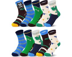 10 paar kindersokken - Klassieke sokken voor meisjes en jongens - Leuke katoenen sokken - Herfst- en wintersokken met cartoondinosaurussen - Babysokken - Maat M 3-5 jaar [Aanbevolen schoenmaten 25-28]