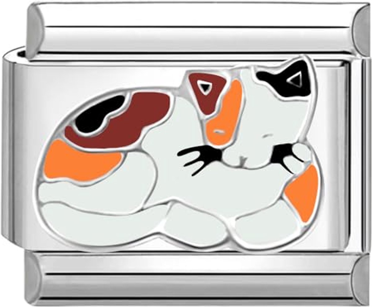 9mm Italiaanse Schakel Bedel Module Roestvrij Staal Kat