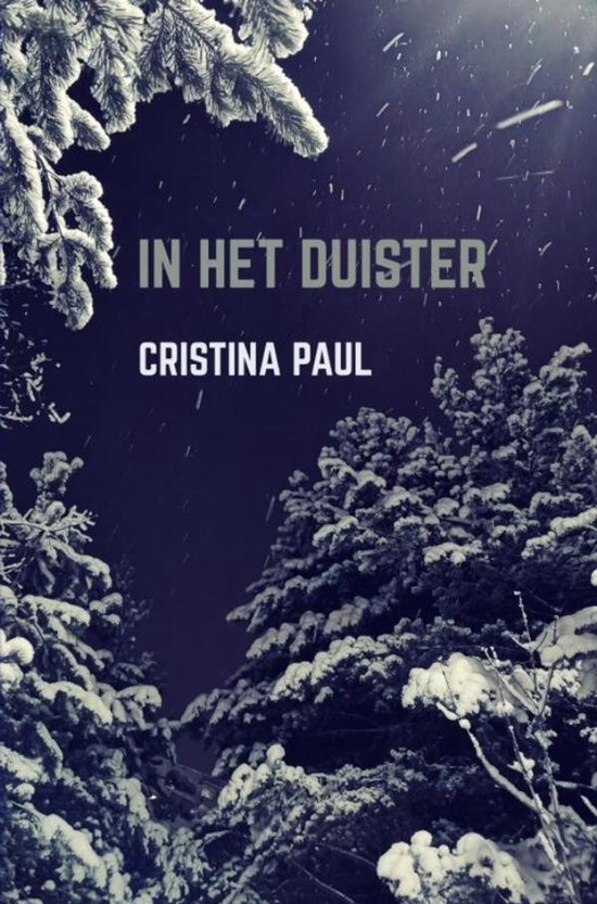 In het duister - cover