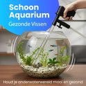 Een hand wordt gebruikt om een aquariumreiniger in een kleine, beplante kom met vissen te gebruiken. Tekst: "Schoon Aquarium, Gezonde Vissen".