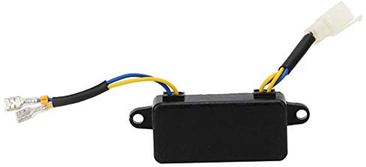 Universele Spanningsregelaar voor Generatoren tot 3kW - 250V 220UF