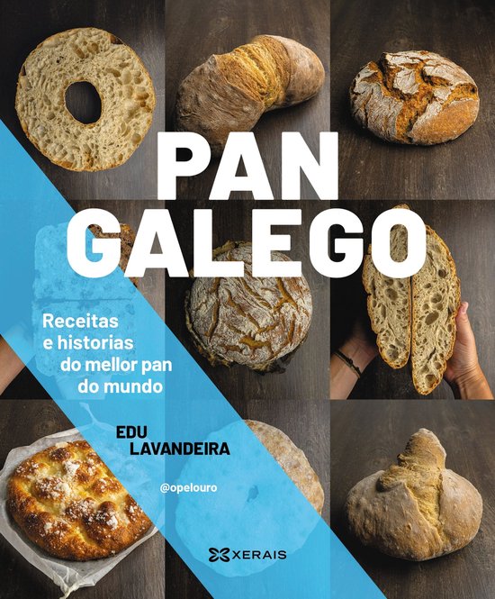 OBRAS DE REFERENCIA - ENSAIO E-book - Pan galego - cover