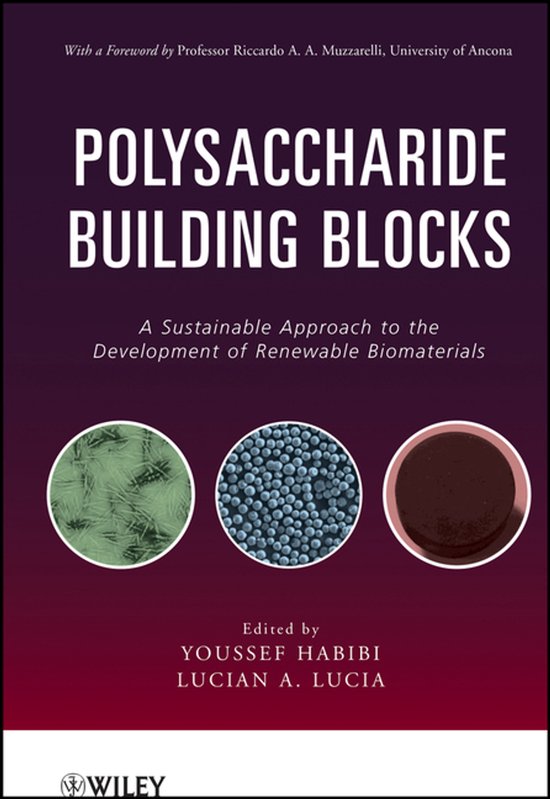 Polysaccharide Building Blocks - cover