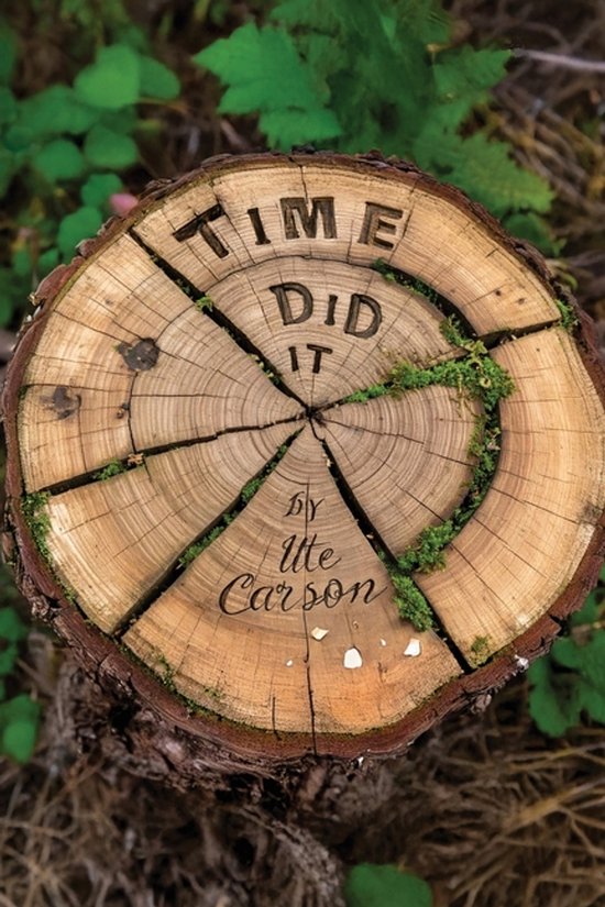 Time Did It - cover