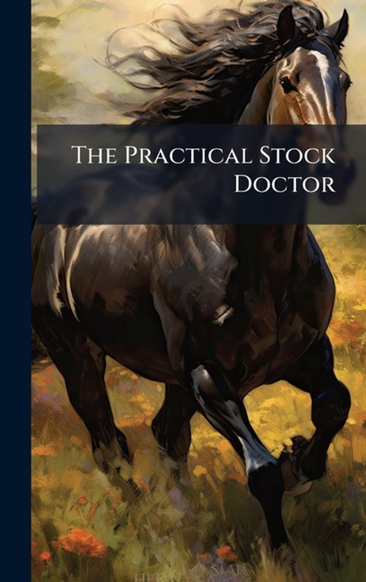 The Practical Stock Doctor - cover