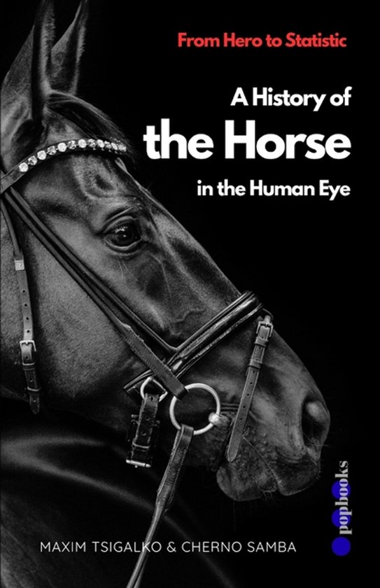 From Hero to Statistic - cover