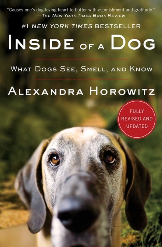 Inside of a Dog - cover