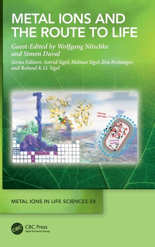 Metal Ions in Life Sciences Series- Metal Ions and the Route ... - cover