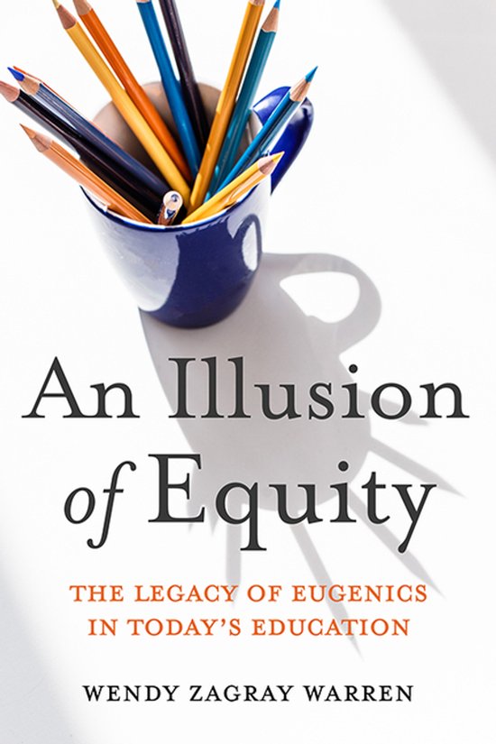 An Illusion of Equity - cover