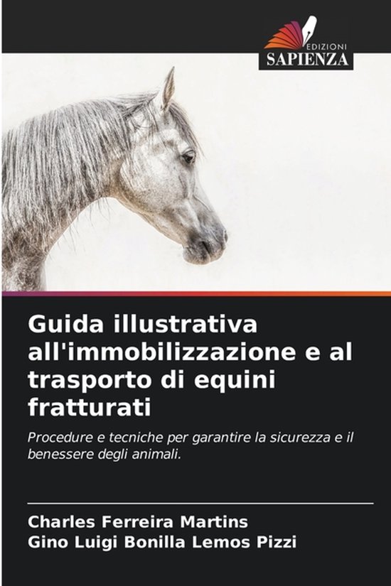 Guida illustrativa all'immobilizzazione e al trasporto di eq ... - cover