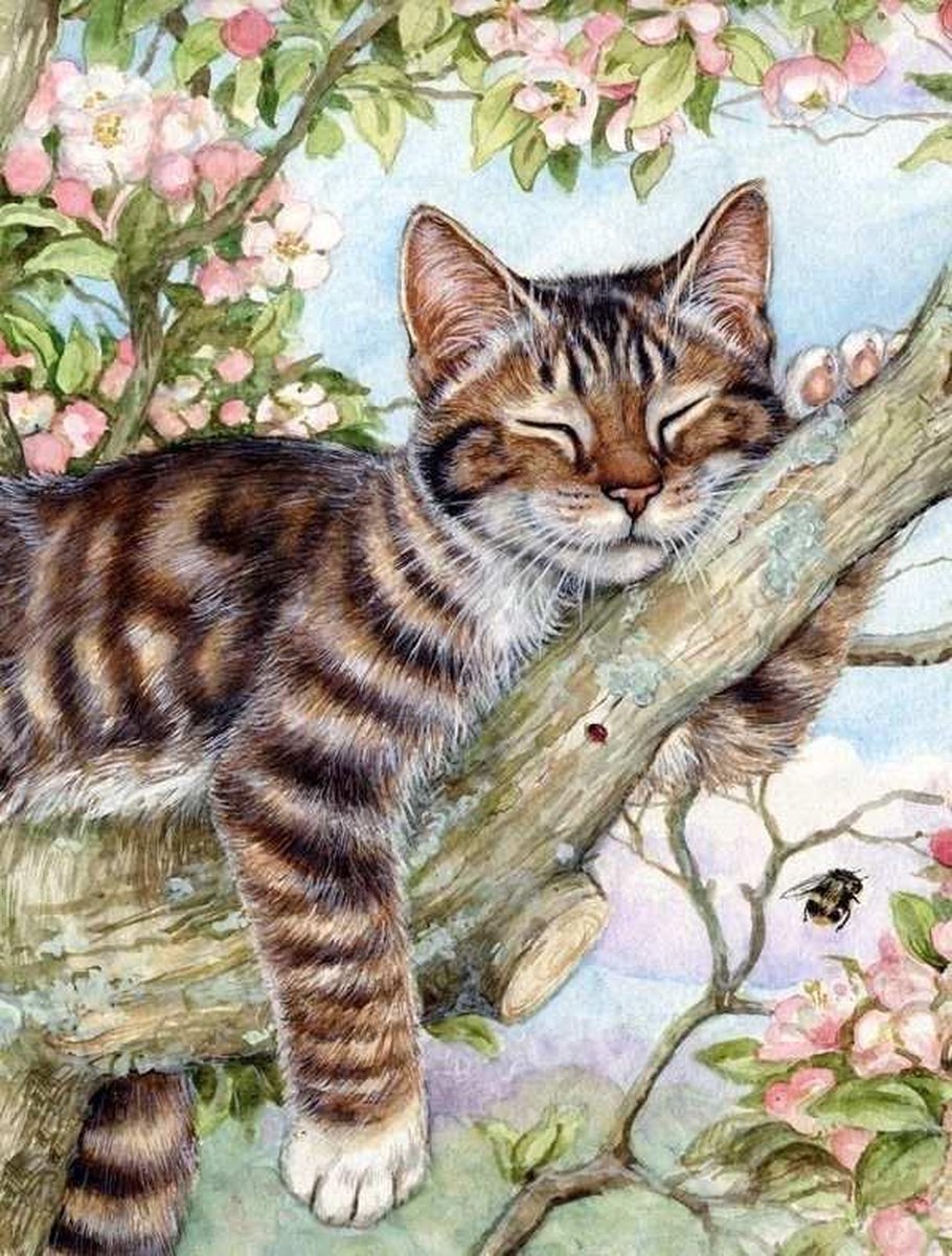 Lienz® Diamond Painting volwassenen 30x40cm – Rond - Poes - Kat - Volledig - Pakket Volwassenen en Kinderen