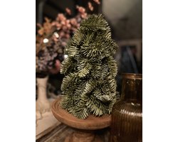 Nobilis boompje op houten stam- kerst- woondecoratie- stoer sober- kerstboompje