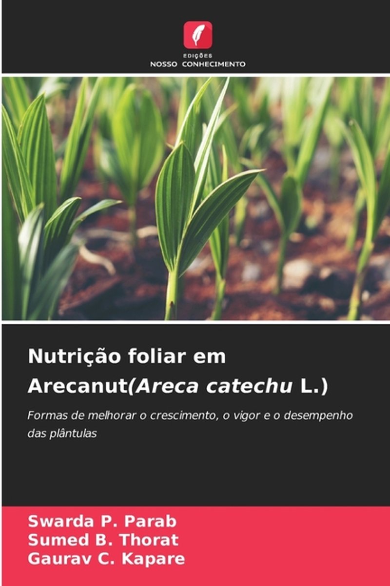 Areca catechu kopen