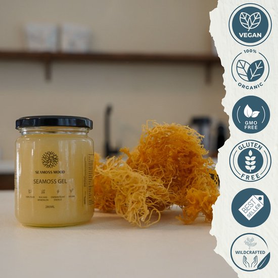 Pot met gele Sea Moss Gel naast een stapel gedroogd zeewier. Vegan, 100% biologisch, GGO-vrij, glutenvrij, best verkocht en wild-geplukt logo's.