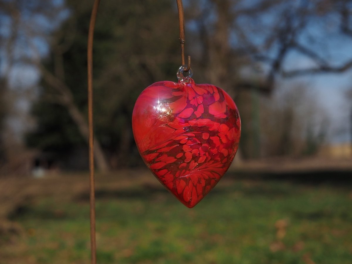hart van glas XL, tuinsteker
