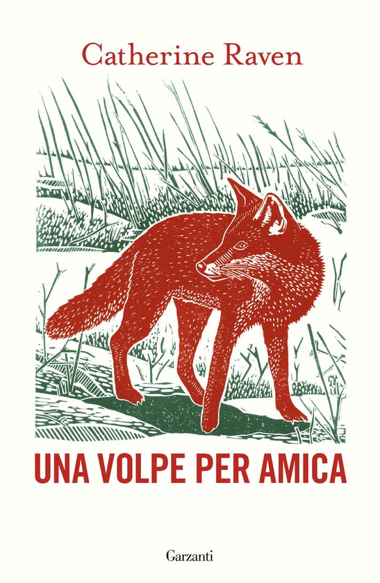 Una volpe per amica - cover
