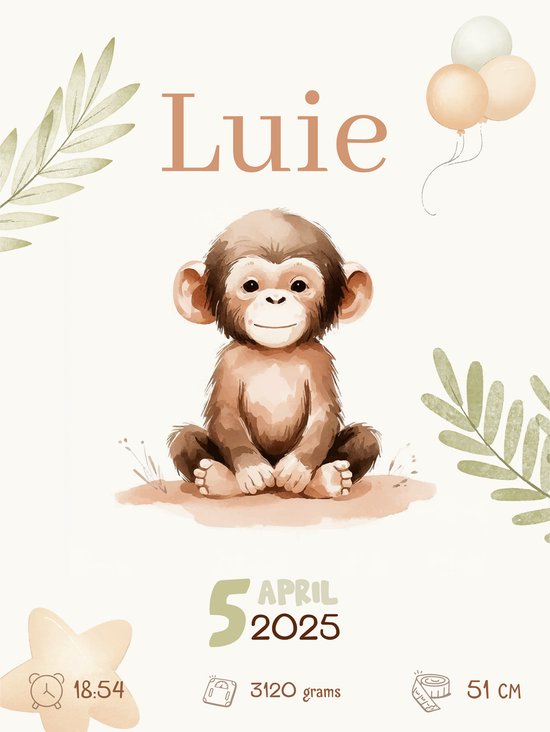 Affiche Bébé / naissance - Singe - Personnalisée avec naam et détails de naissance - 43 x 61 cm - Affiches Bébé