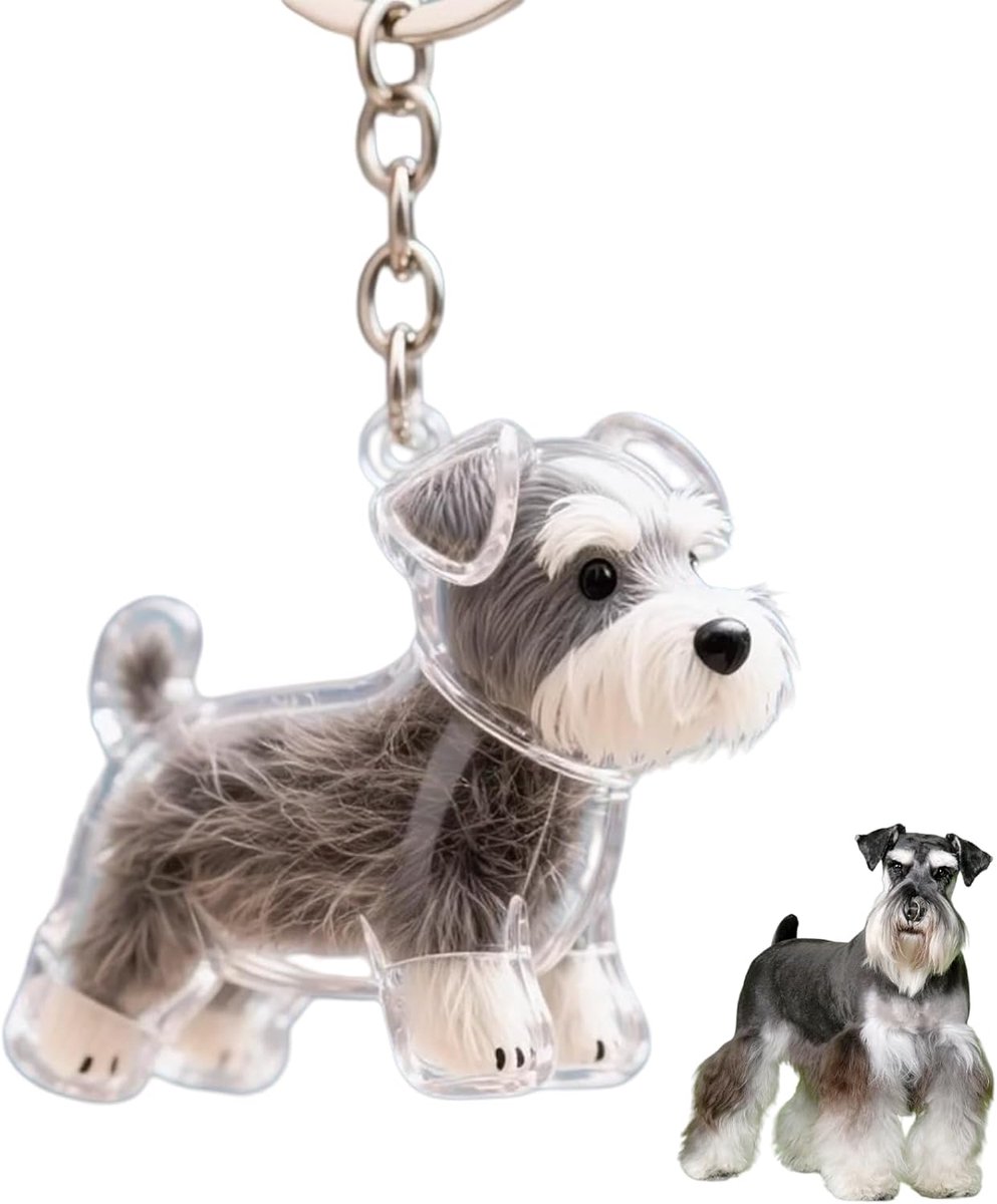 Daity Sleutelhanger met bedel voor hondenhaarcollectie - opbergdoos voor dierenhaar in de vorm van een hond - zelfgemaakte capsule voor het verzamelen van dierenhaar - as van dierenhaar als aandenken (schnauzer)