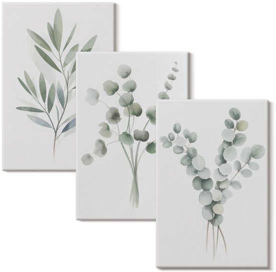 Trois toiles d'aquarelle de plantes vertes et d'eucalyptus sur fond blanc.