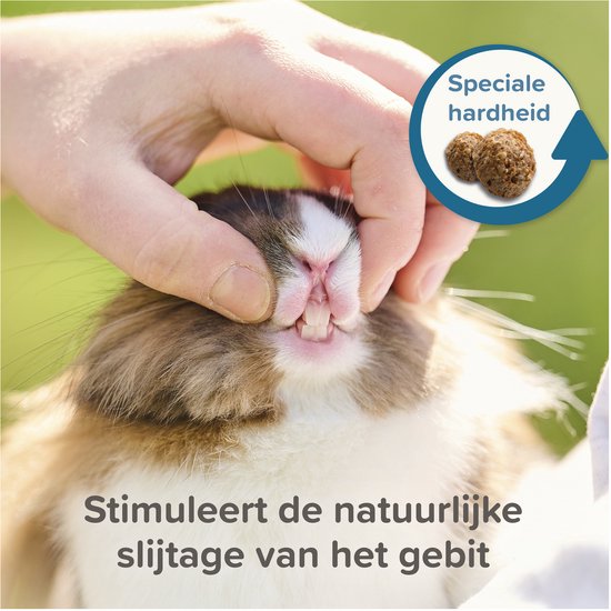 Een hand drukt op de mond van een konijn om de tanden te tonen. Cirkel met 'Speciale hardheid'.