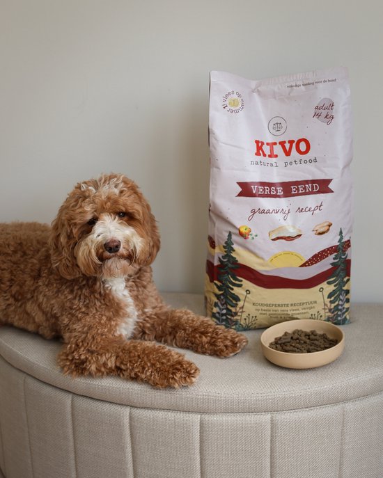 Een bruine labradoodle ligt naast een grote zak KIVO hondenvoer 'VERSE EEND graanvrij recept' en een bakje brokken.