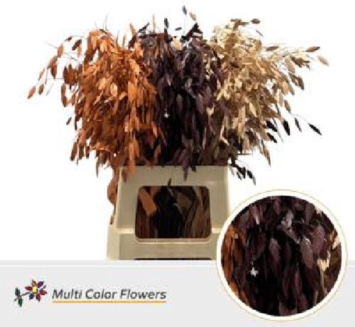 50x Gs chasmanthium herfst mix 70cm