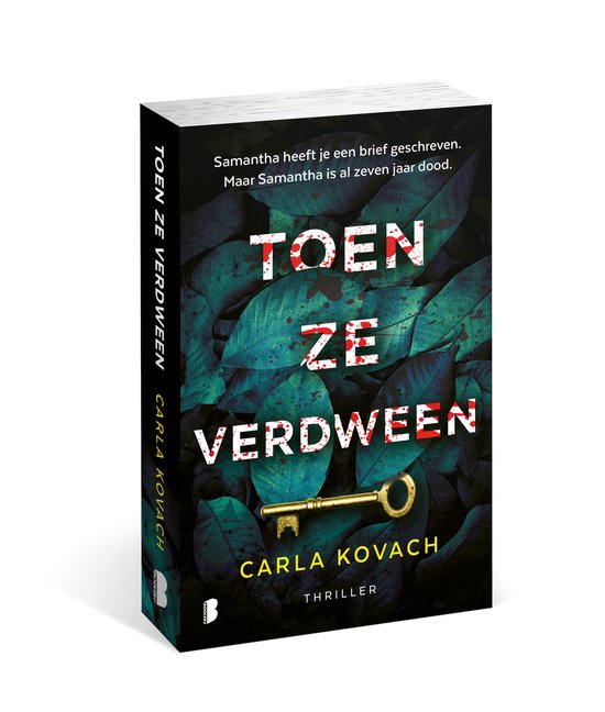 Gina Harte 4 - Toen ze verdween