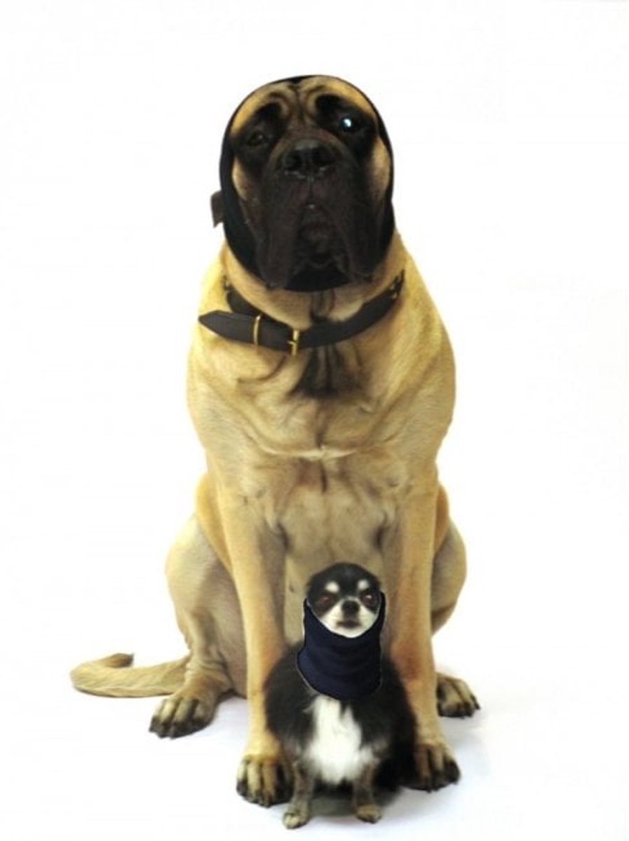 Oorbeschermer hond Set 2 st S & L | Honden oorbescherming