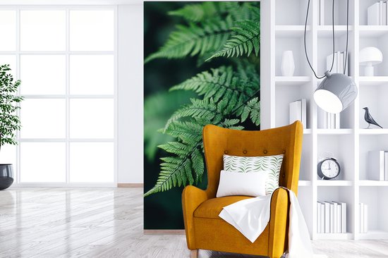 Behang - Fotobehang Varenblad - Groen - Structuur - Wazig - Breedte 120 cm x hoogte 240 cm