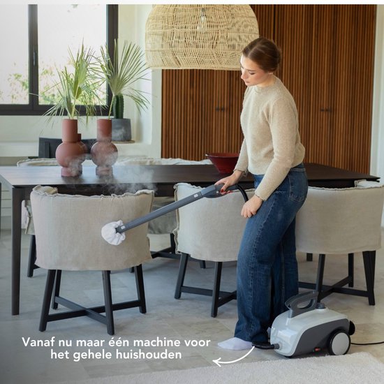 Nettoyeur vapeur Techweise 16 en 1 - 45 minutes de vapeur - 4 bars - Nettoyeur de tapis - Machine de nettoyage - Nettoyant anti-taches
