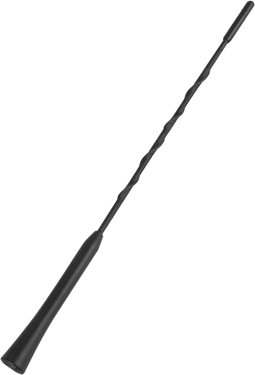 BLOW Autoradio Antenne Mast + 2x Draadverloop - FM/AM - 30cm - M6 - FMM301