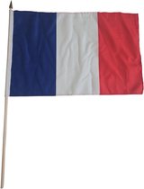 Agitant le drapeau de luxe France