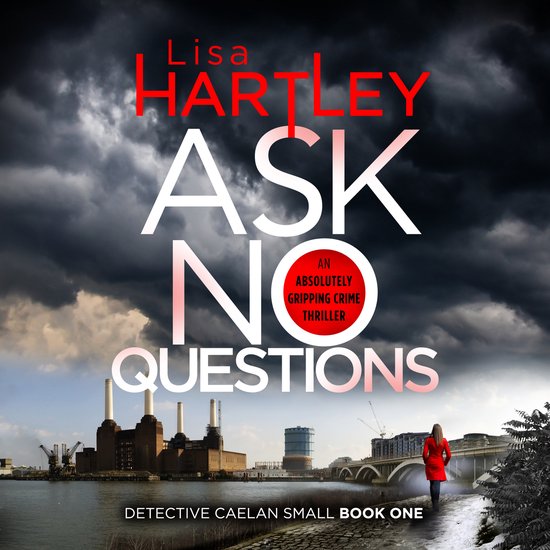Detective Caelan Small1- Ask No Questions - cover