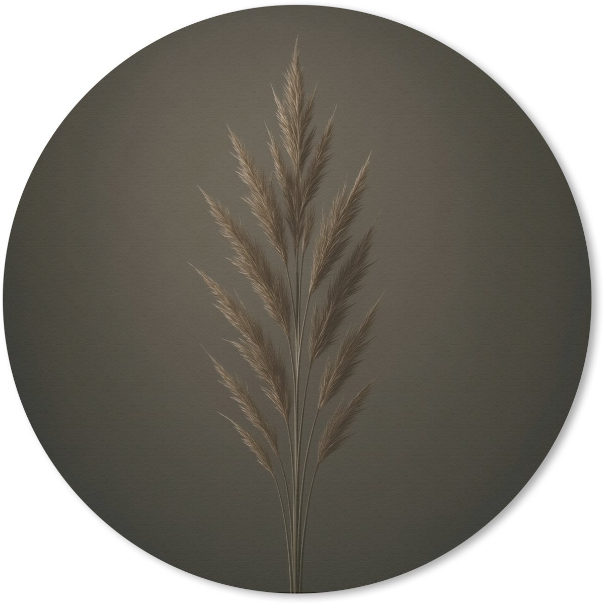 Muismat rond 20x20 cm - Mousepad Tak - Pluimgras - Donkerbruin - Ronde muismatten