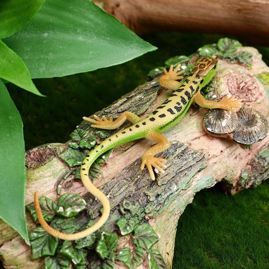 Welk reptiel is voor mij geschikt als huisdier