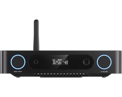 FIIO K13 R2R Zwart