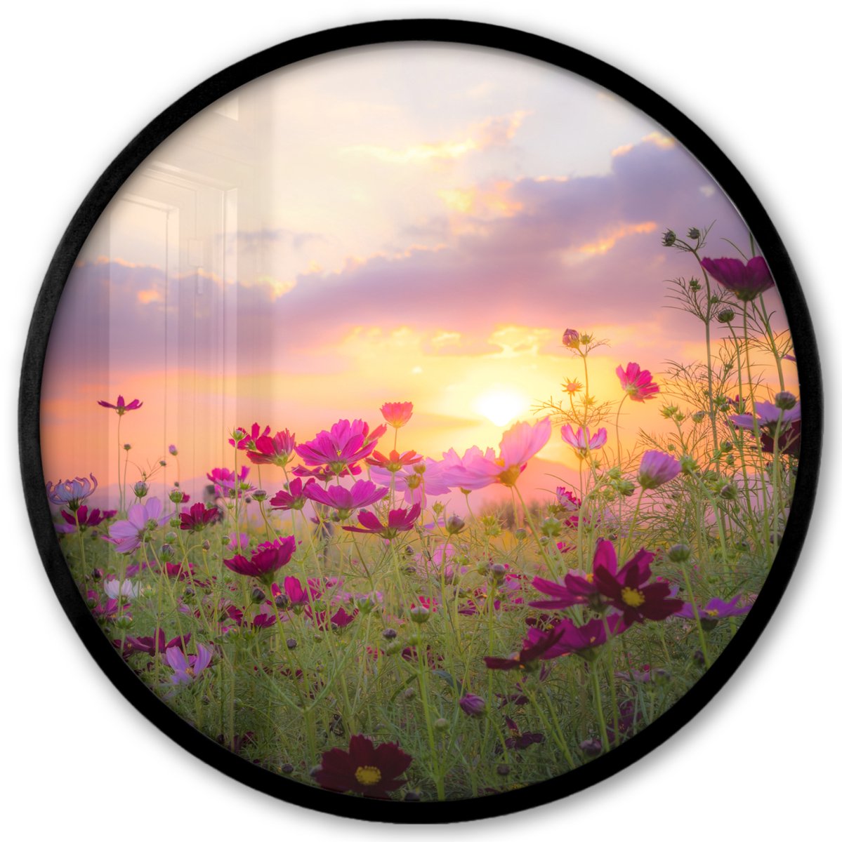 FrameYourWall Poster in lijst Rond - Fotolijst 40x40 cm - Posters - Bloemen - Roze - Zonsondergang - Natuur - Weide - Horizon - Ronde posterlijst zwart - Decoratie - Wanddecoratie woonkamer - Muurdecoratie slaapkamer
