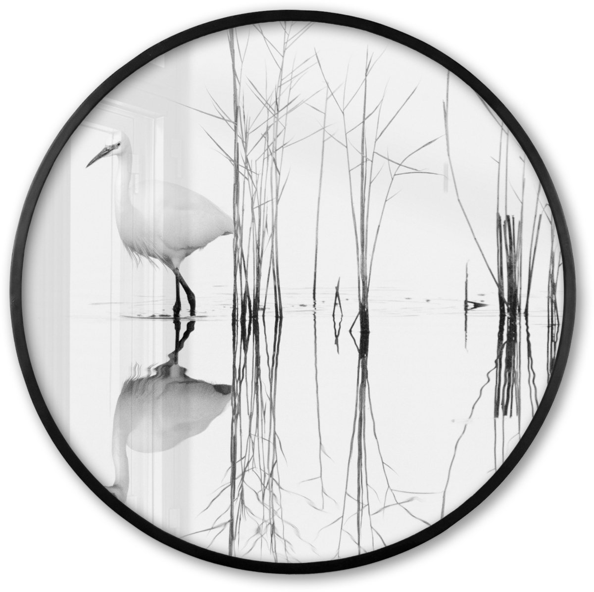 FrameYourWall Poster in lijst Rond - Fotolijst 60x60 cm - Posters - Vogel - Water - Planten - Natuur - Ronde posterlijst zwart - Decoratie - Wanddecoratie woonkamer - Muurdecoratie slaapkamer