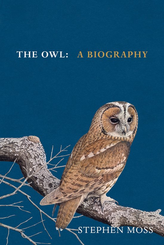 The Bird Biography Series - The Owl