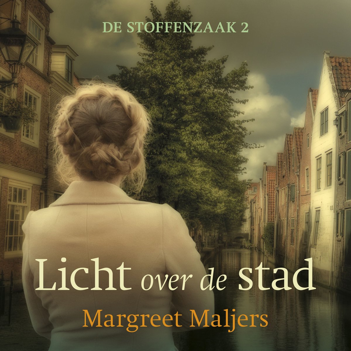 Omslag van Licht over de stad