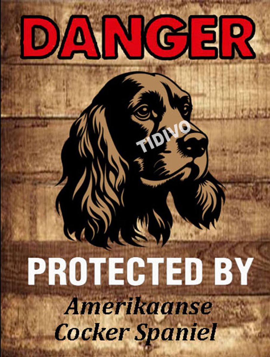 Amerikaanse Cocker Spaniel 19