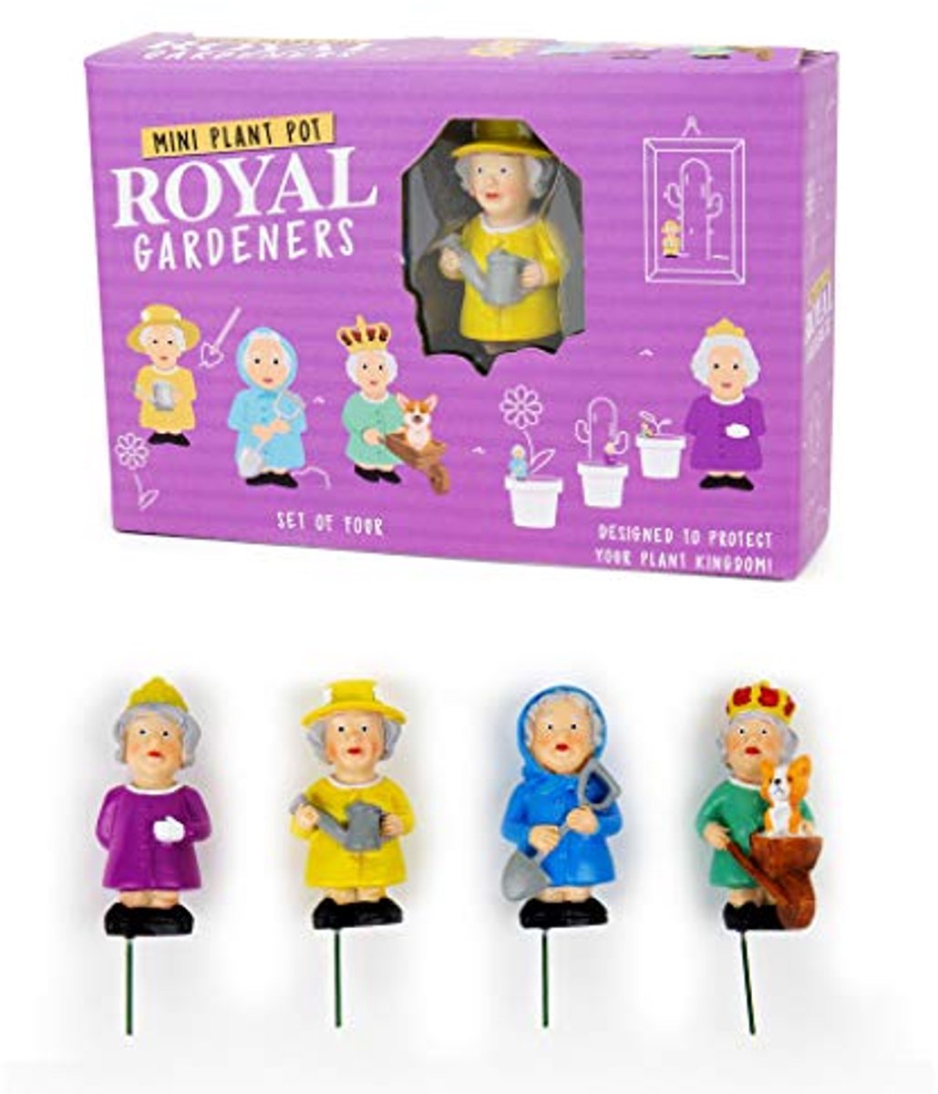 Vrolijke Plantenpotmarkers - 4-Pack, Leuke Decoraties voor Binnen en Tuin