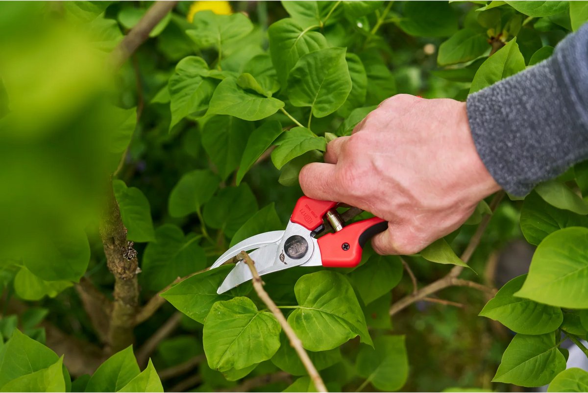 Felco 171L Pruning Shears - for Large Hands - Ø 25 mm