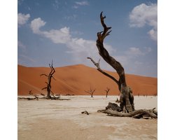 Nyos - Growl (CD)