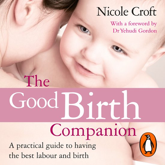 The Good Birth Companion - cover