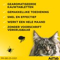 Gevlekt kattengezicht naast vlooien en teken. Gearomatiseerde kauwtabletten, gemakkelijk toe te dienen, snel, effectief, werkt een maand, zonder voorschrift.