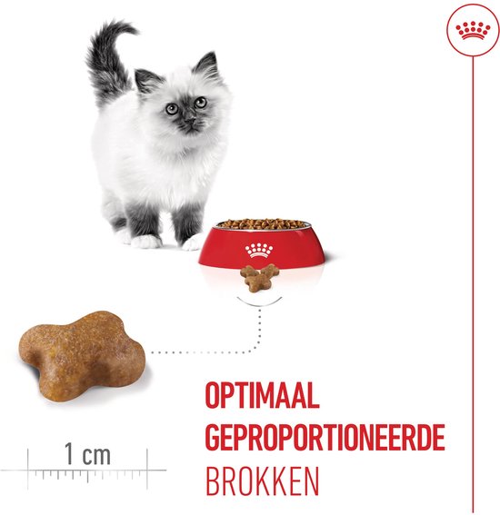Een beige botvormig brokje van 1 cm wordt getoond naast een rode voerbak gevuld met brokjes. Een kitten staat op de achtergrond.