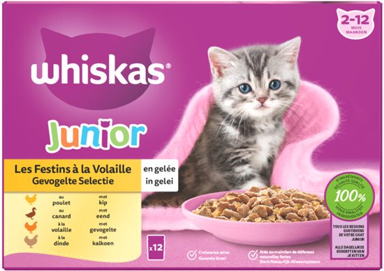 Whiskas Junior Multipack Gevogelte Selectie in Gelei - 4 x 12 x 85 gr - Voordeelverpakking