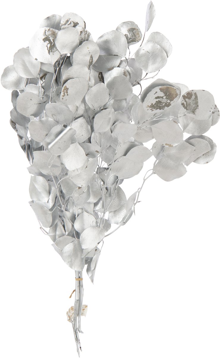 J-Line droogbloemen Eucalyptus - riet - zilver
