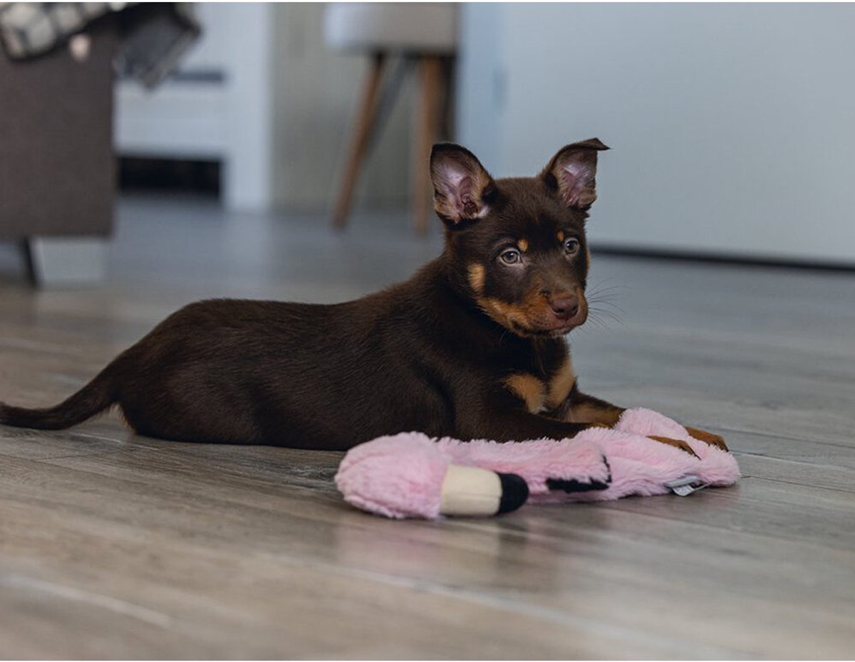 Beeztees Puppy Flatino Flamingo - Zacht knuffeltoyspeelgoed thumbnail 3